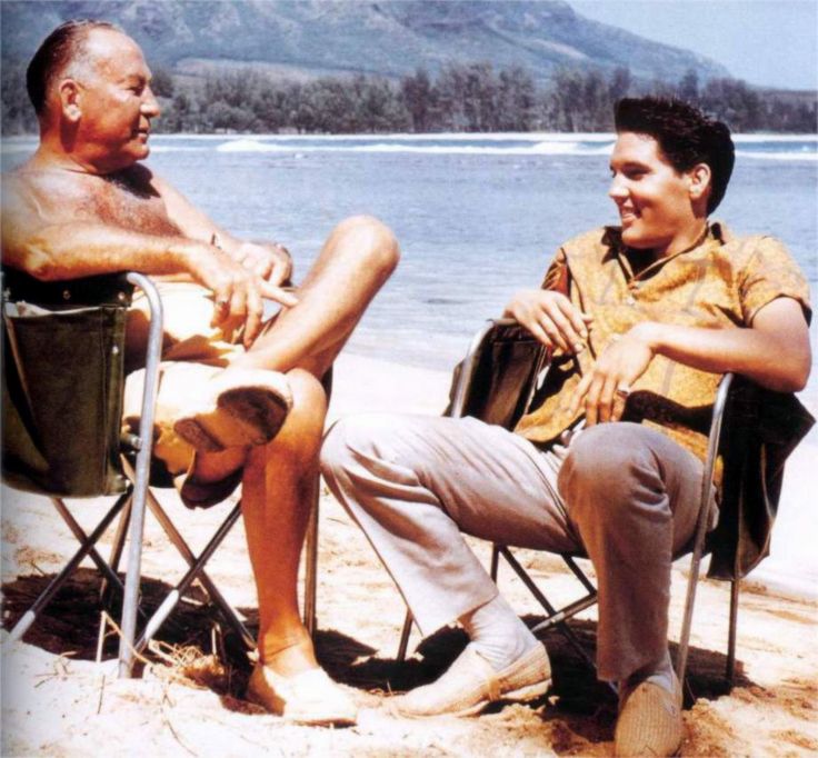 AboutElvisPresley 🎶👑🎶 tweet media