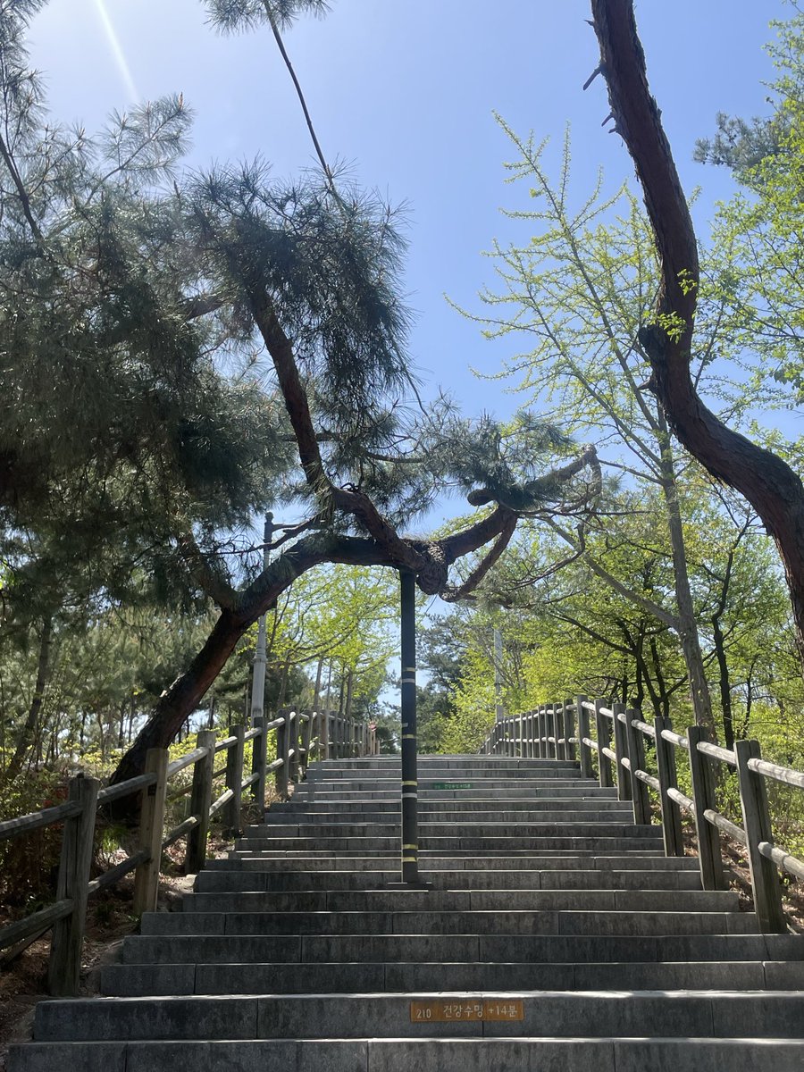 BananaGreek tweet media