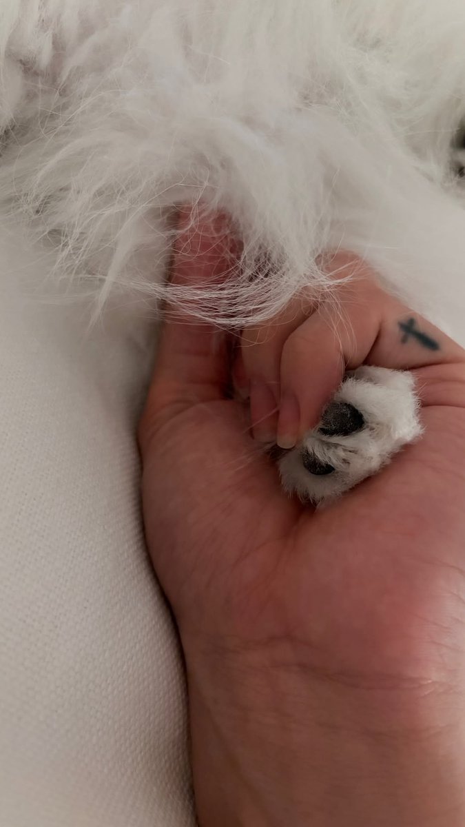 deobimom's tweet image. CHANHEE #NEW #뉴 IG 🐧📸 story