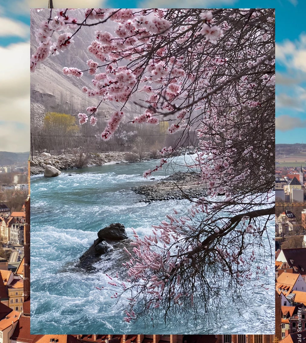 Sandy Adams tweet media