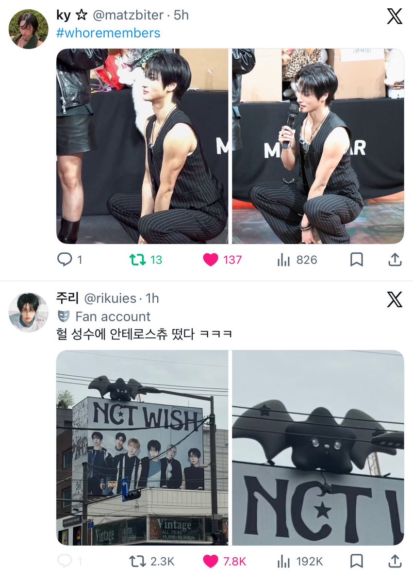 min 🐿️ tweet media