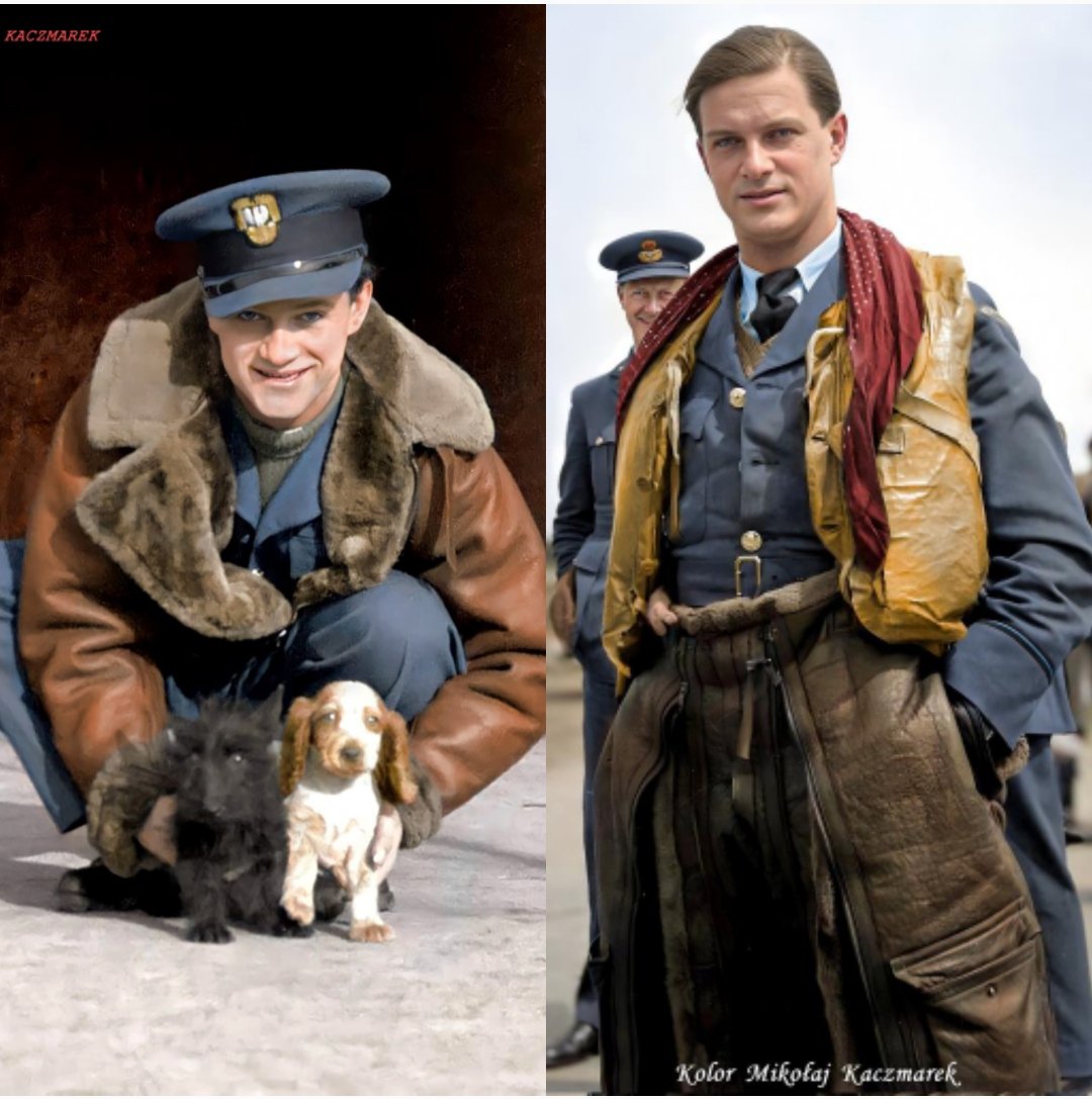 Polski Patriota tweet media