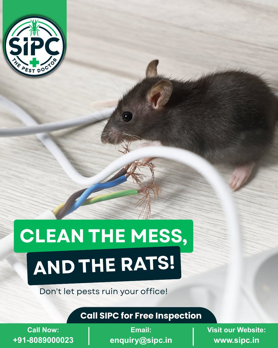 𝐀 𝐬𝐦𝐚𝐥𝐥 𝐫𝐨𝐝𝐞𝐧𝐭 𝐜𝐚𝐧 𝐜𝐫𝐞𝐚𝐭𝐞 𝐛𝐢𝐠 𝐝𝐚𝐦𝐚𝐠𝐞! 𝐅𝐫𝐨𝐦 𝐞𝐥𝐞𝐜𝐭𝐫𝐢𝐜𝐚𝐥 𝐰𝐢𝐫𝐞𝐬 𝐭𝐨 𝐬𝐭𝐨𝐫𝐞𝐝 𝐟𝐨𝐨𝐝, 𝐫𝐚𝐭𝐬 𝐜𝐚𝐧 𝐫𝐮𝐢𝐧 𝐢𝐭 𝐚𝐥𝐥.