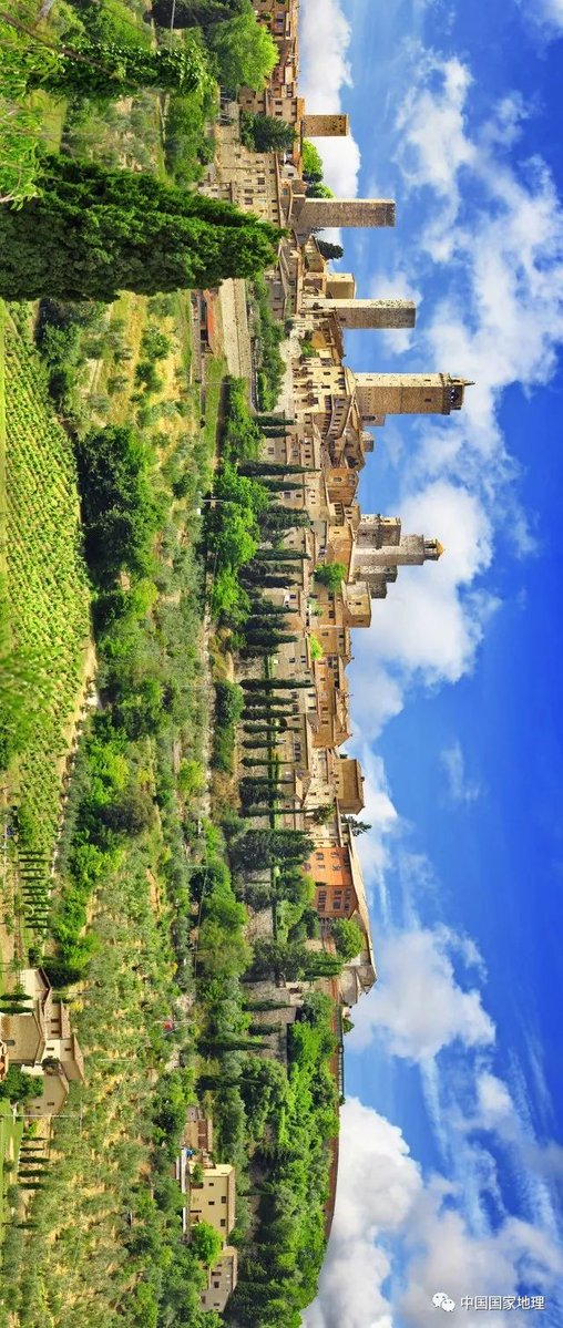 DiaBloOfficieL tweet media