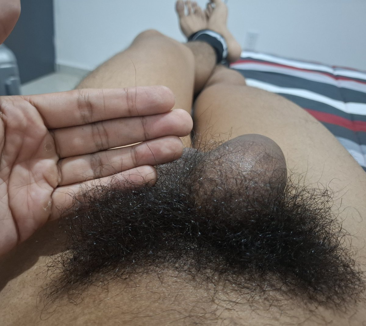 23CmCurvoVers🇲🇽 tweet media