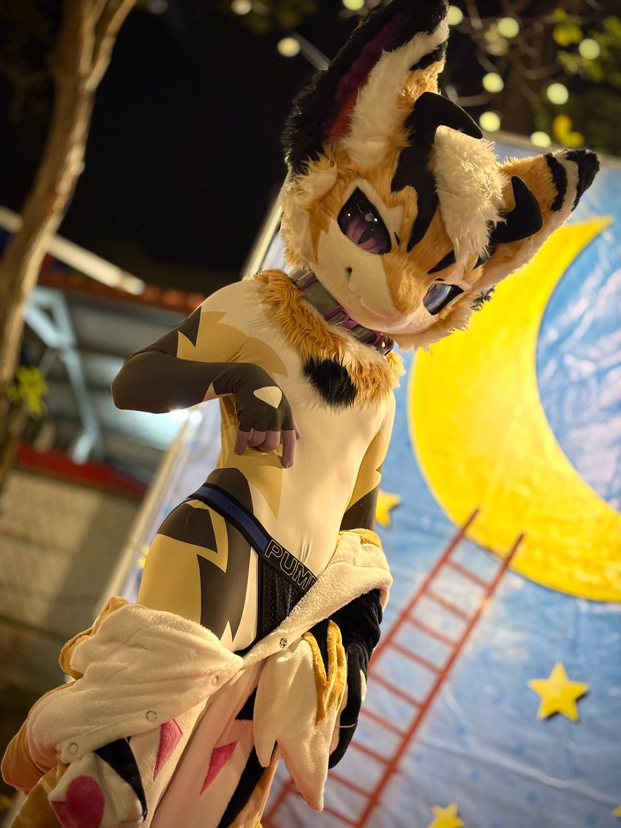 沃爾夫 & 幻幻小龍 🔜 2026 UTFG🇹🇼 tweet media