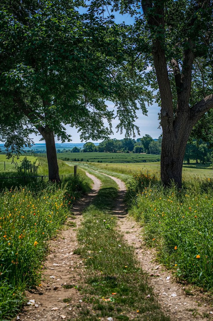 free therapy: green paths 🍃