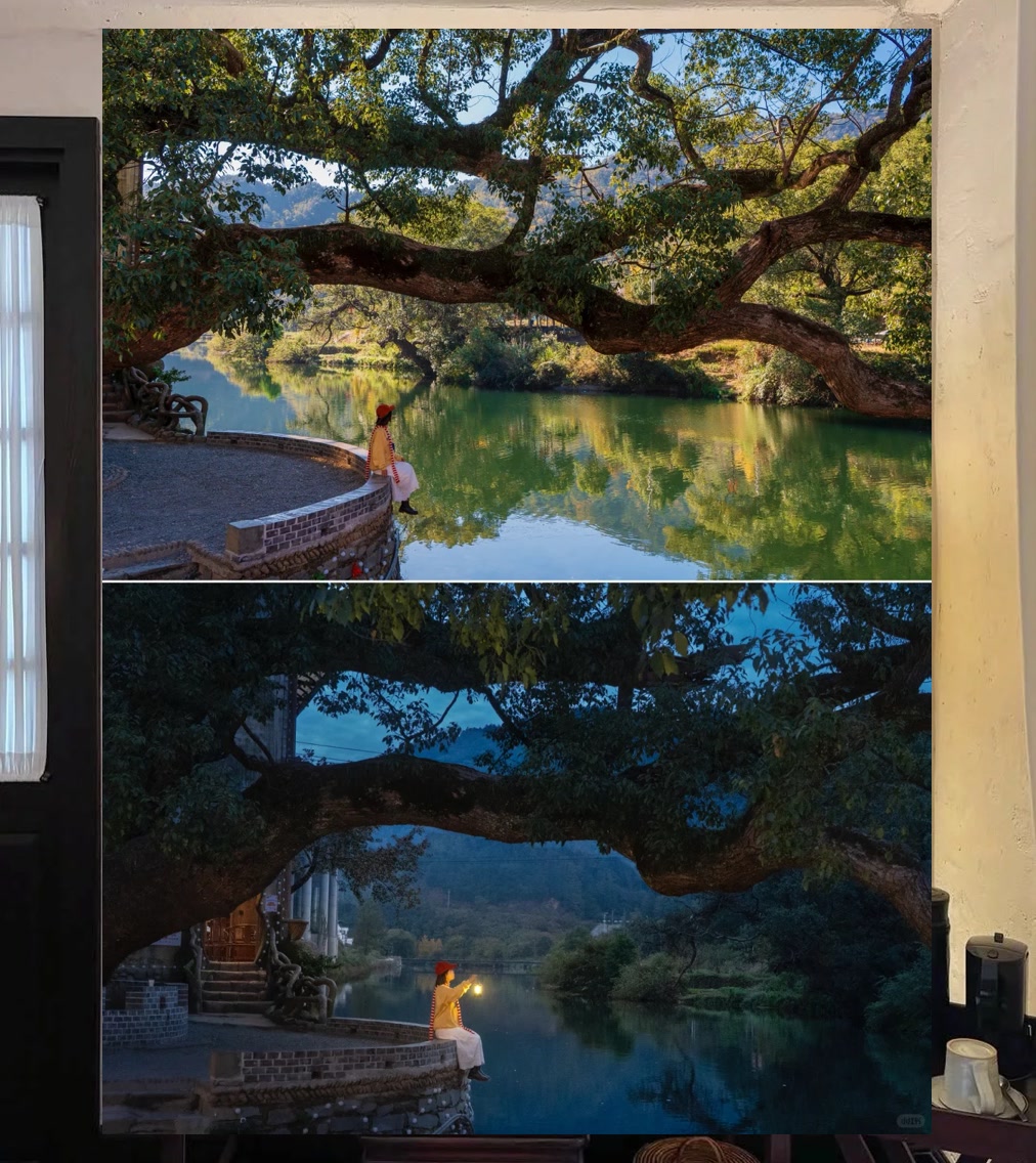 Justin Haulin tweet media