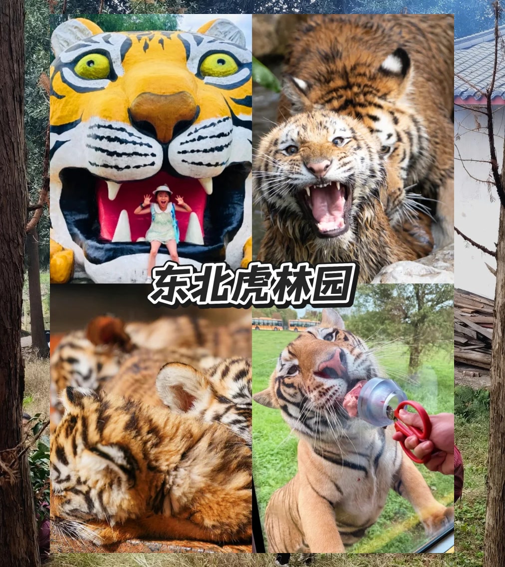 Gary Thompson tweet media