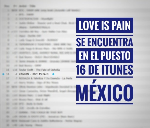 Mapachitas Team tweet media