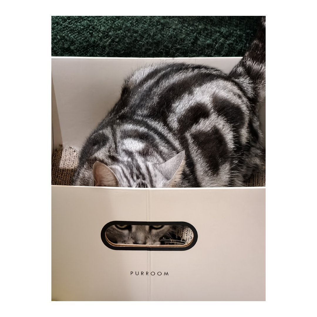 Soukichar tweet media