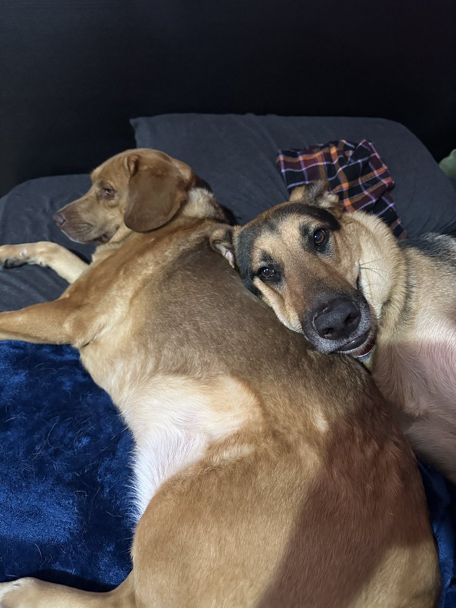 ✨the dragon king✨ tweet media