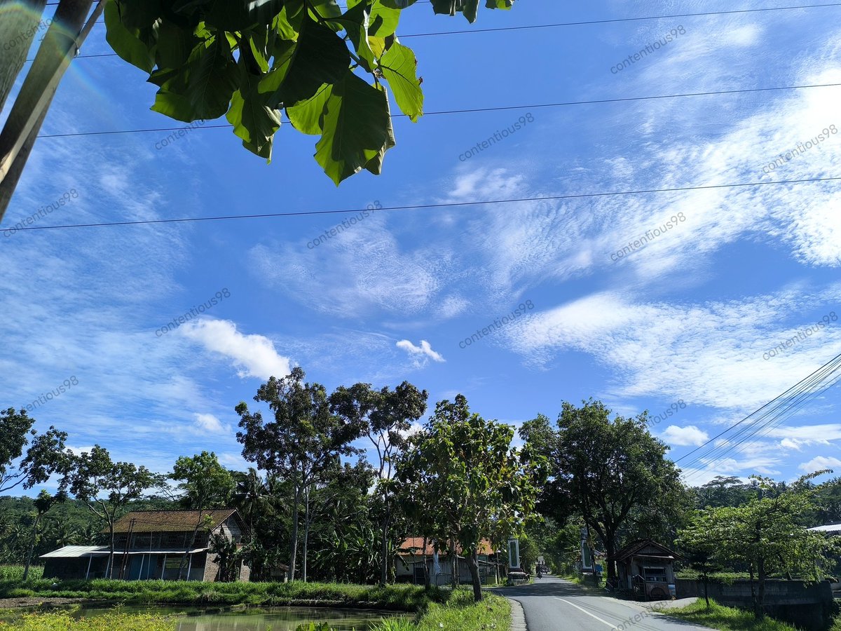 Chyy シ tweet media