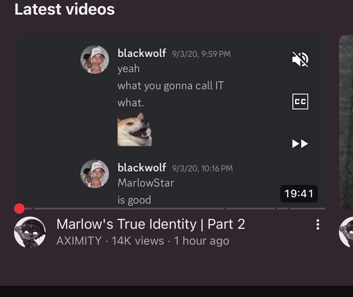 eli 🌊 tweet media