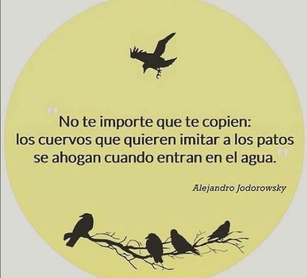 Alexxa Bruns tweet media