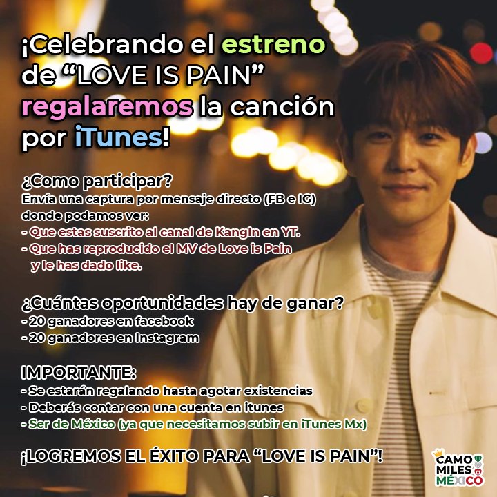 Camomiles México 강인☀️🍉 tweet media