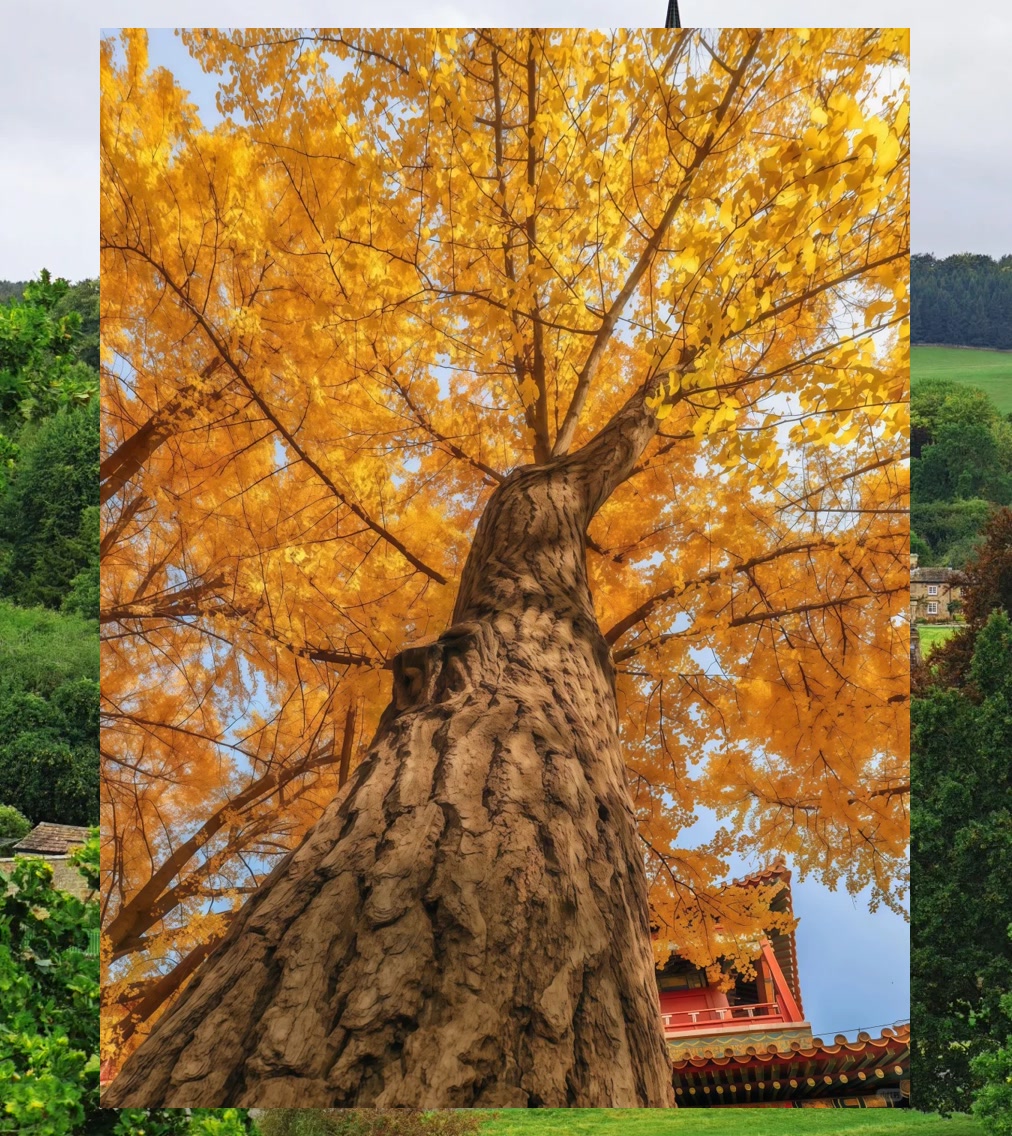 Stack Patel tweet media