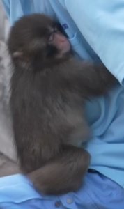 Soy Marbe tweet media