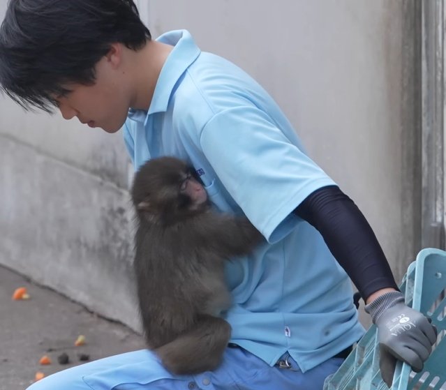 Soy Marbe tweet media