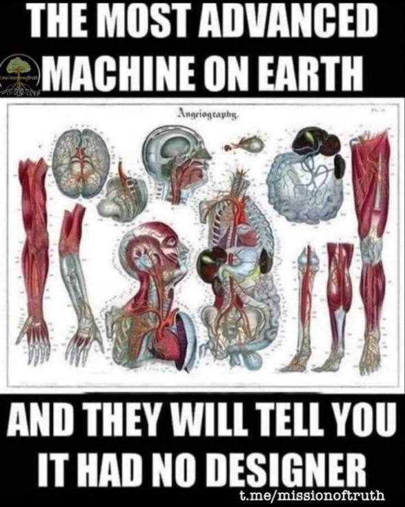 Not A Number tweet media