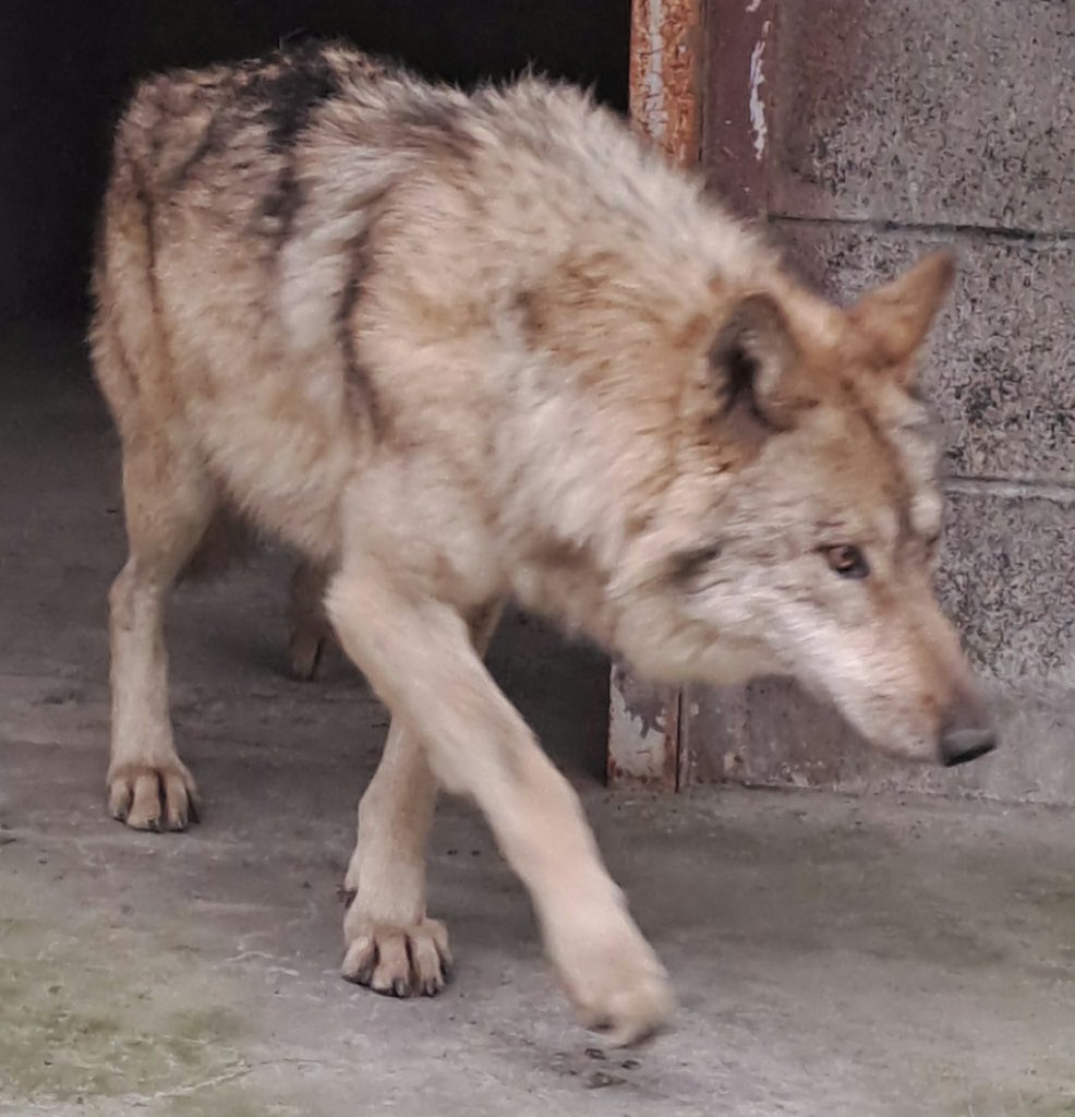 대전광역시 tweet media