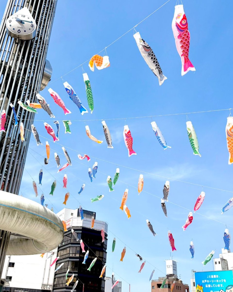 水戸観光コンベンション協会【公式】 tweet media