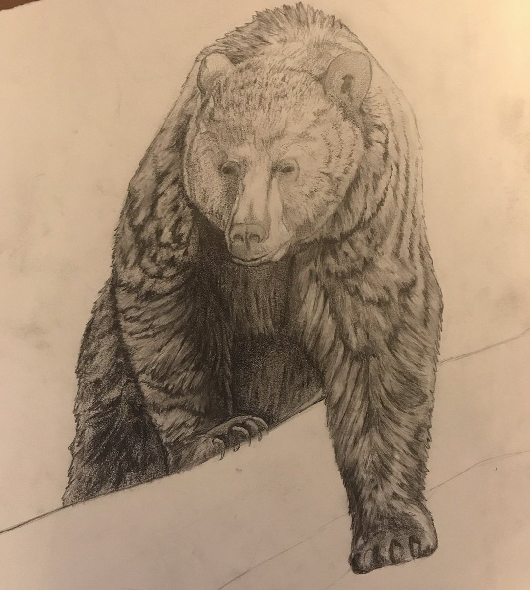 croc connoisseur tweet media