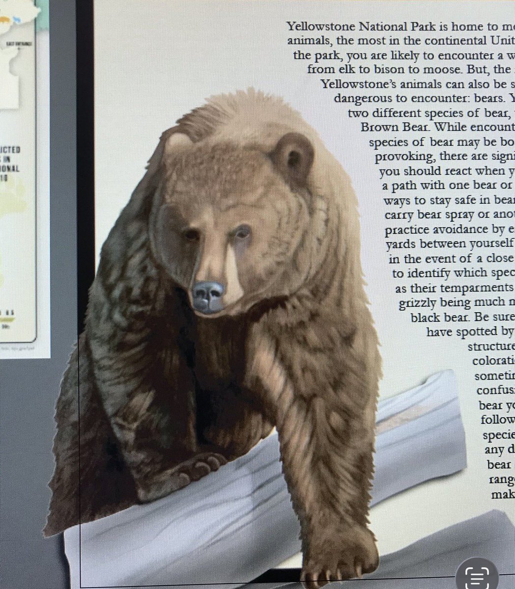 croc connoisseur tweet media