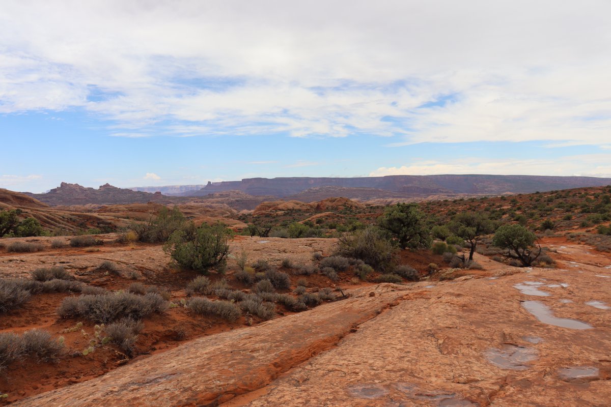 manuelacasasoli's tweet image. From my hikes...

In the desert, after the rain.

Utah - 2024

Have a good day!

#hiking #adventures #nature #NatureScenery