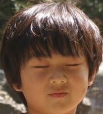 1% human 99% cat tweet media