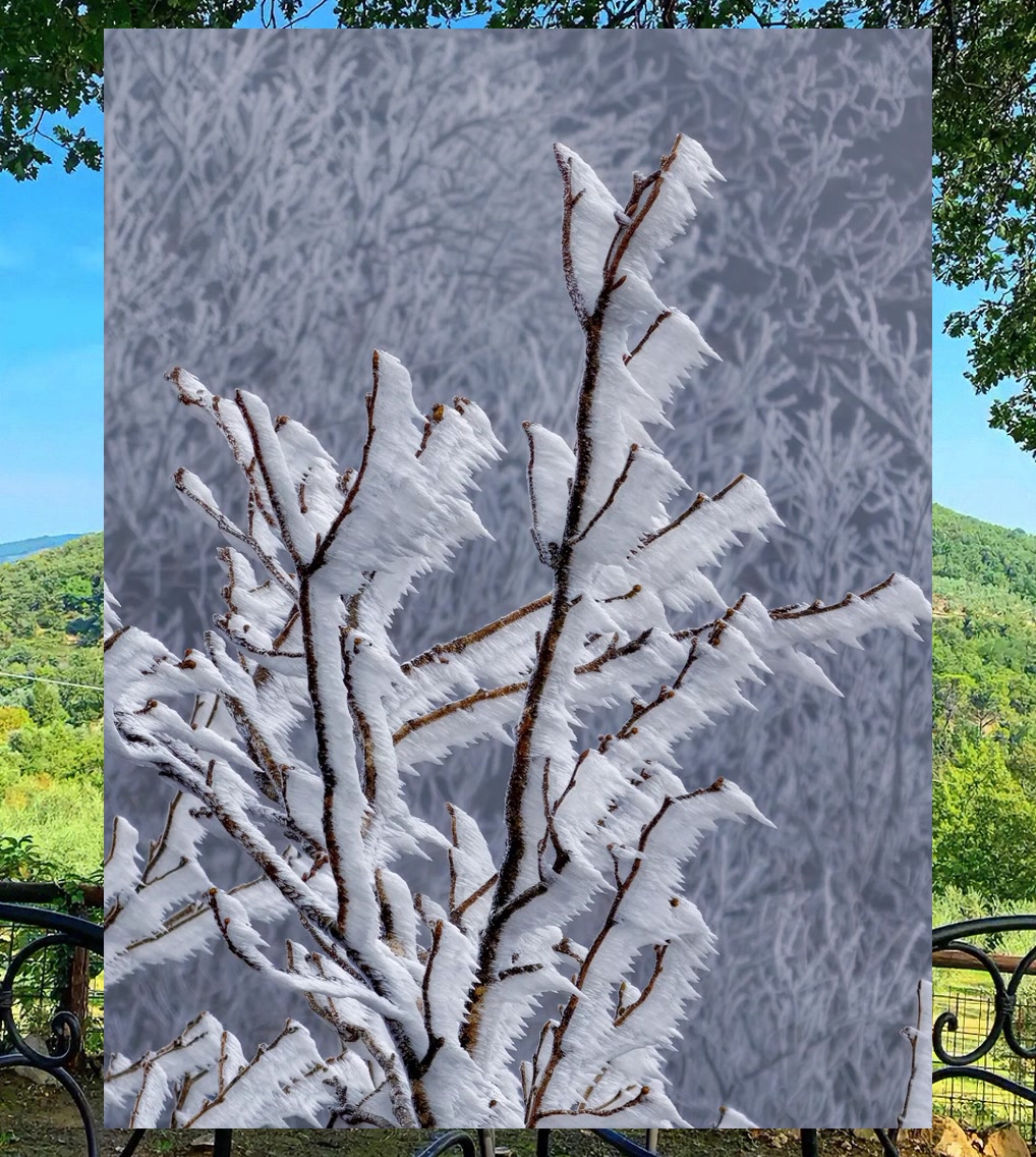 Rodney Russell tweet media