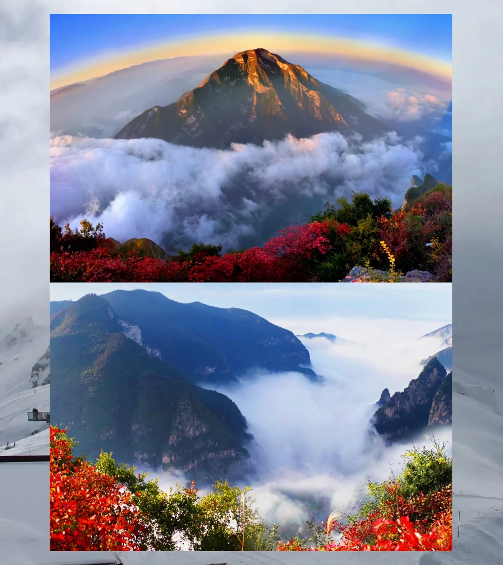 Amber Mitchell tweet media