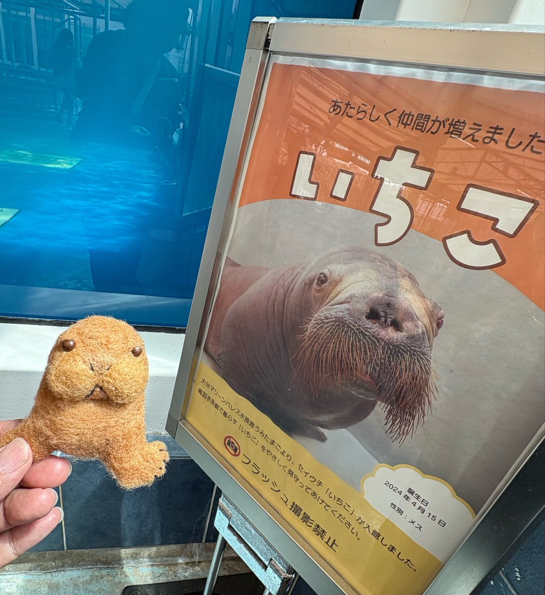 あさみ＊あけみ tweet media