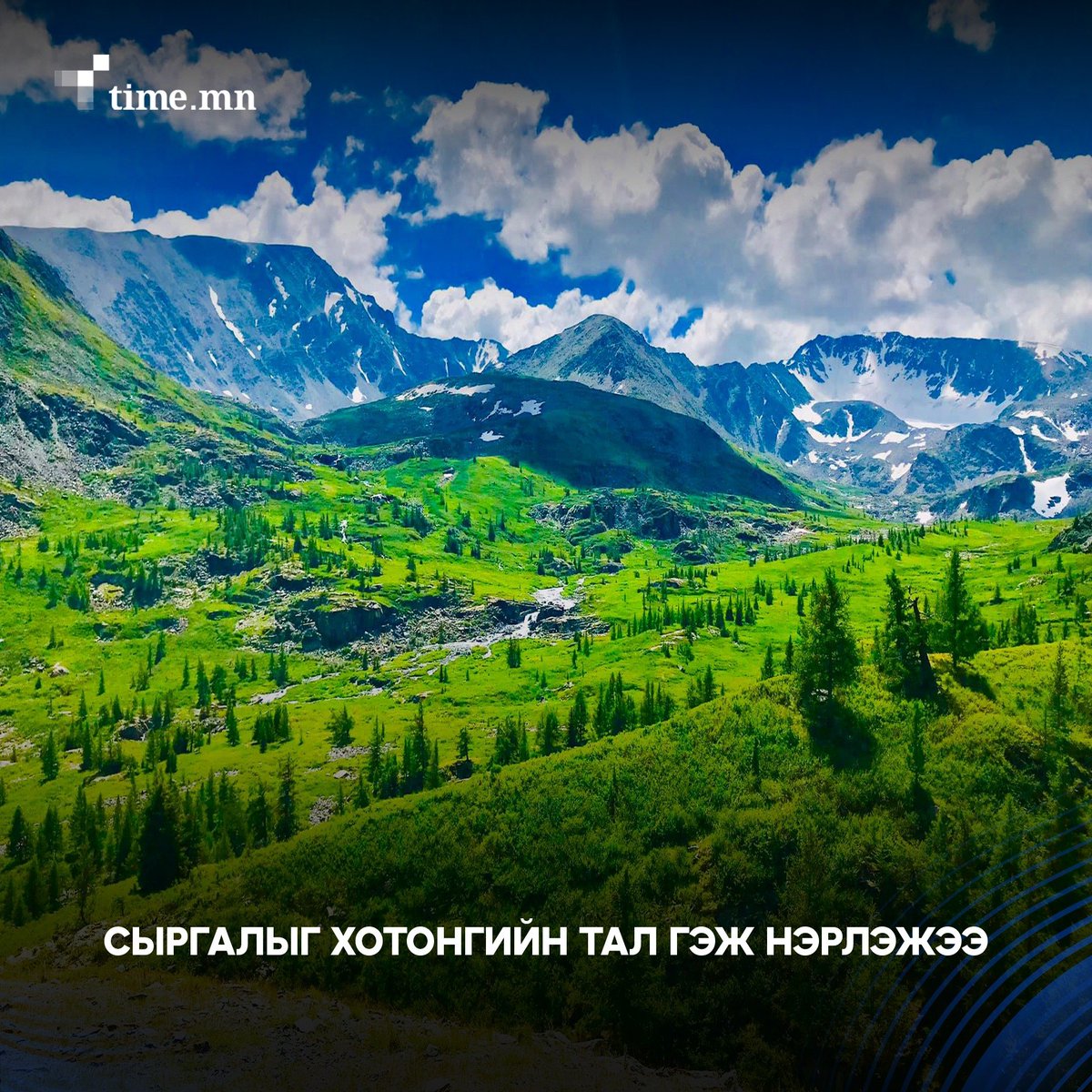 Шарайд tweet media