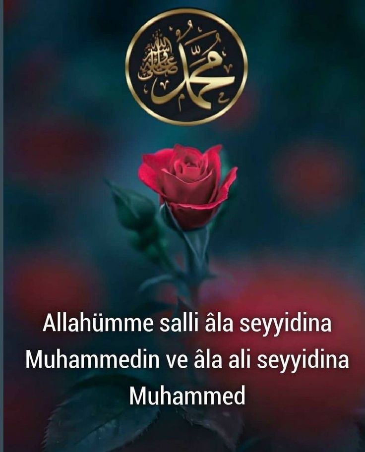 Fatma Ceylan 🇹🇷 🇵🇸 tweet media