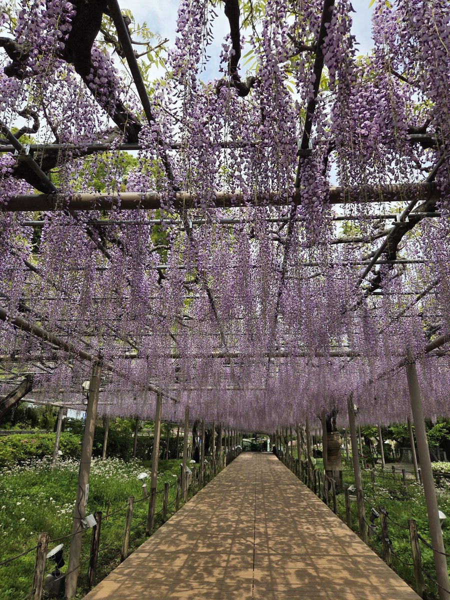 ゆきん湖（放送大学 tweet media