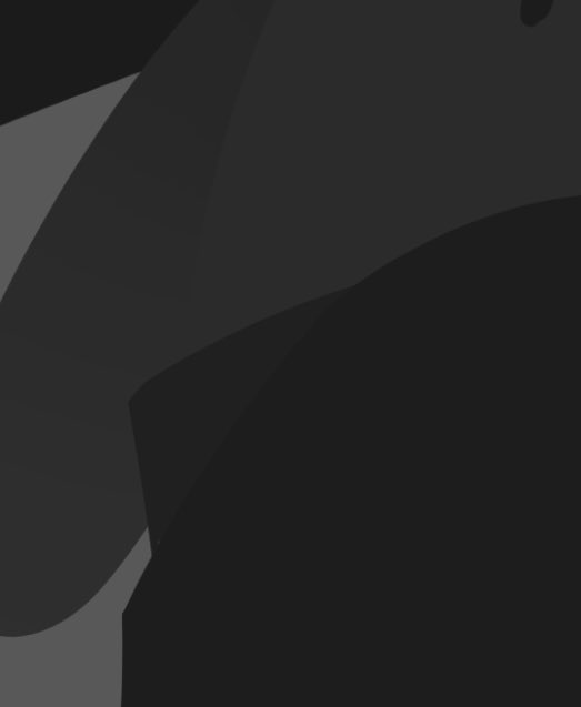 stupid orange cat tweet media