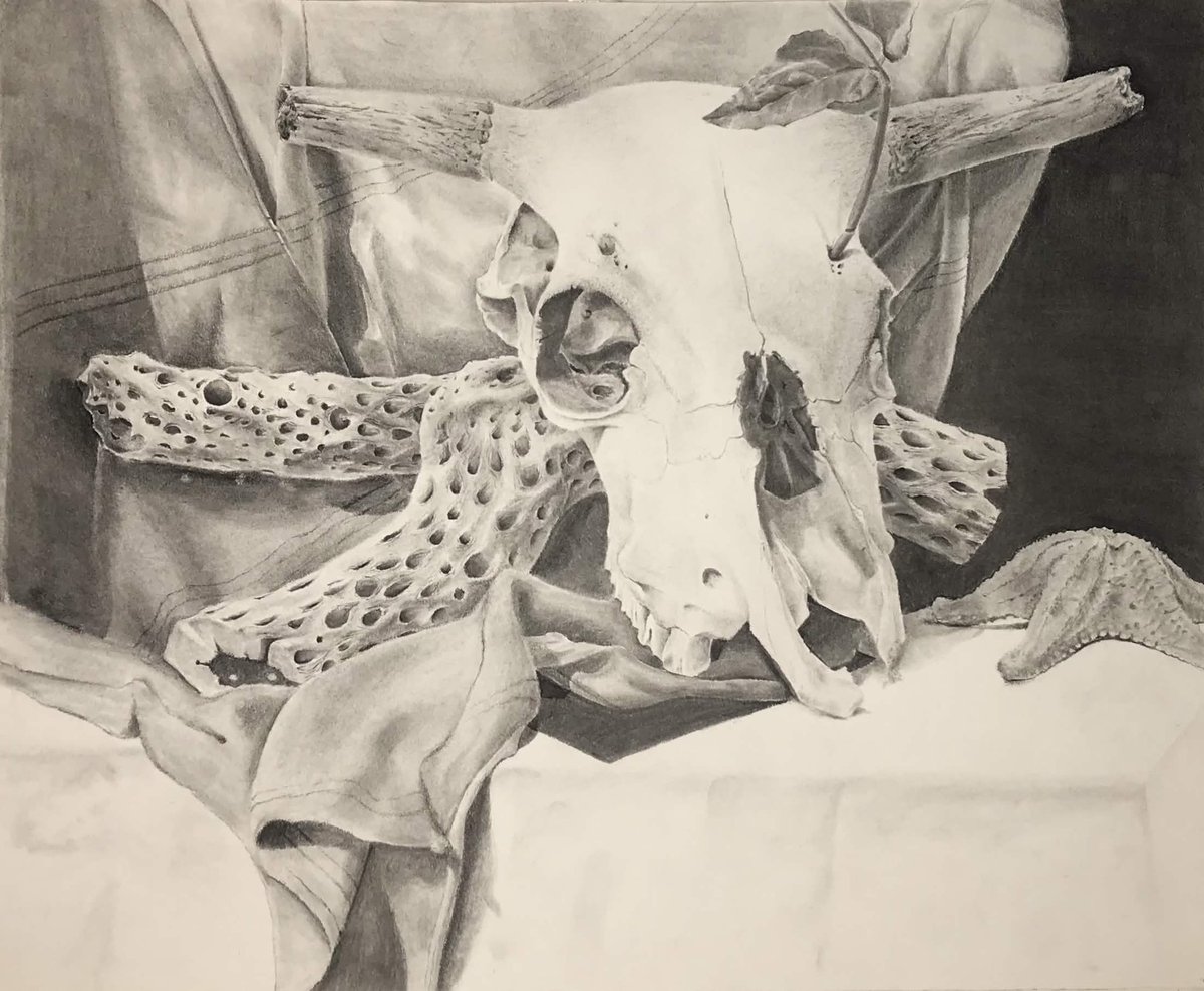 croc connoisseur tweet media