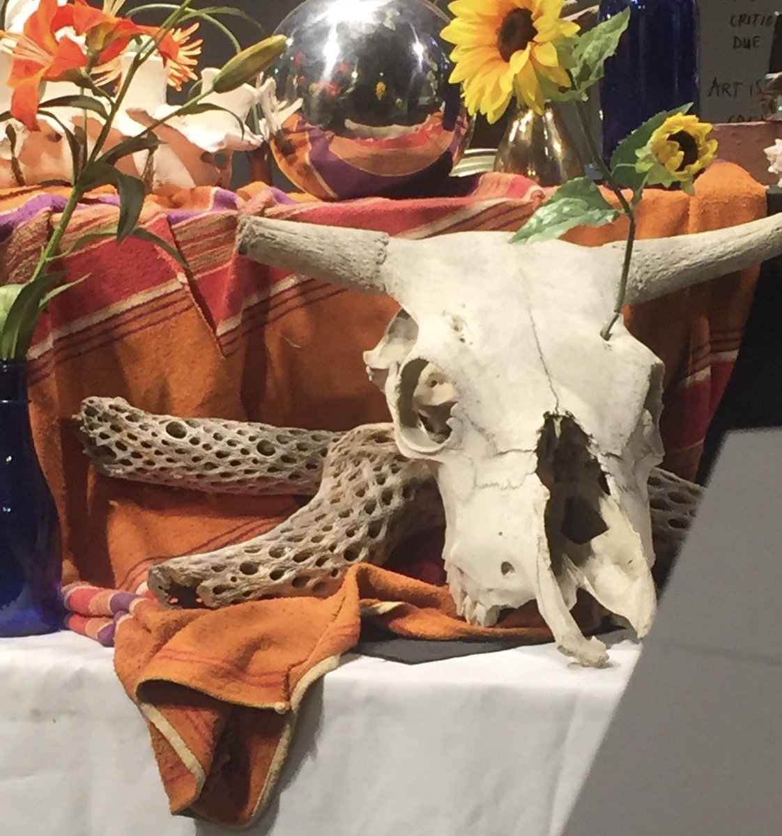 croc connoisseur tweet media