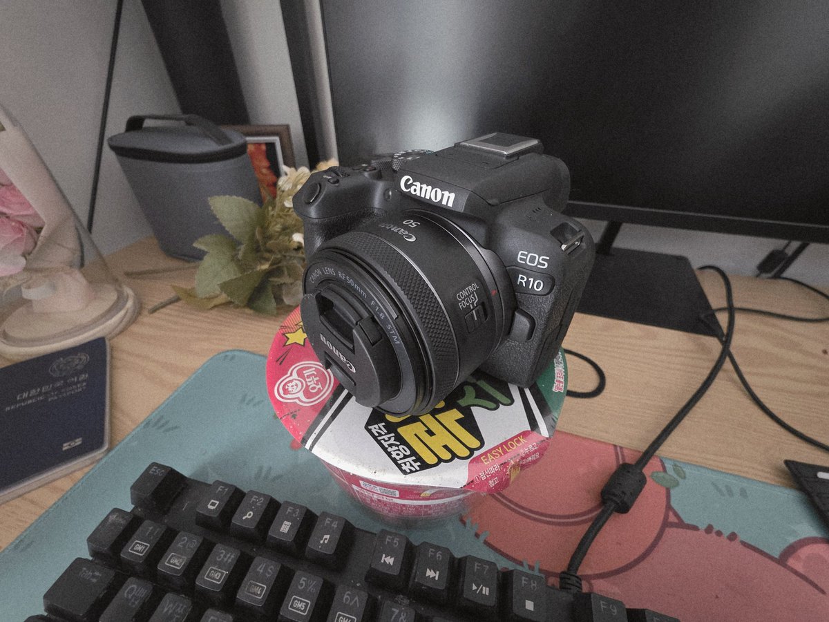 터리조아 tweet media