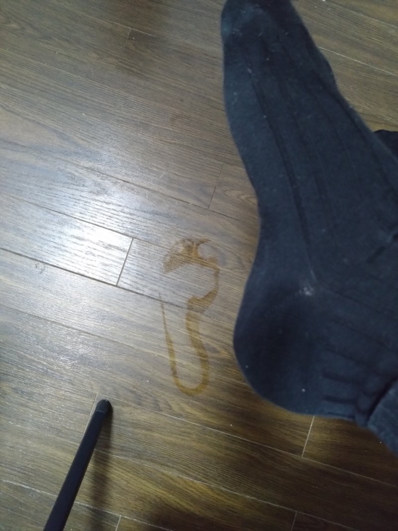 ゲイパン本舗-男区臭人 tweet media