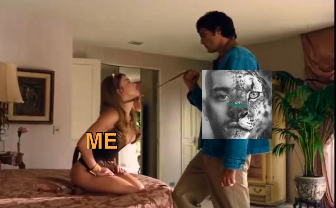 ✧⋆*｡emi’s seeing zayn 🌪️🐆 tweet media