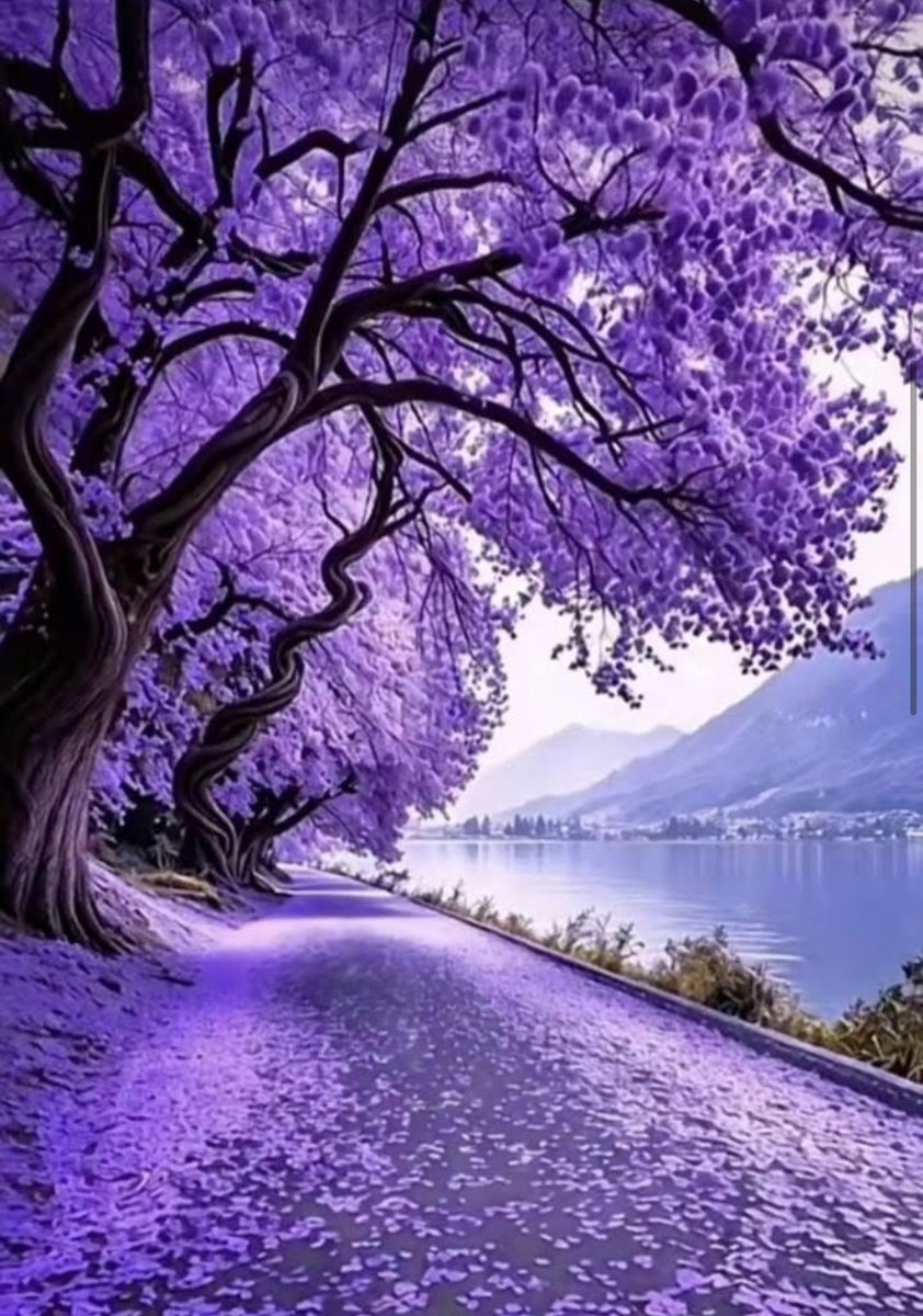 IchkaUB's tweet image. Happy spring day