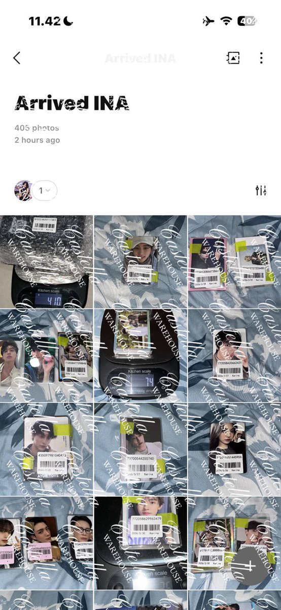 Castella WH☘️ tweet media