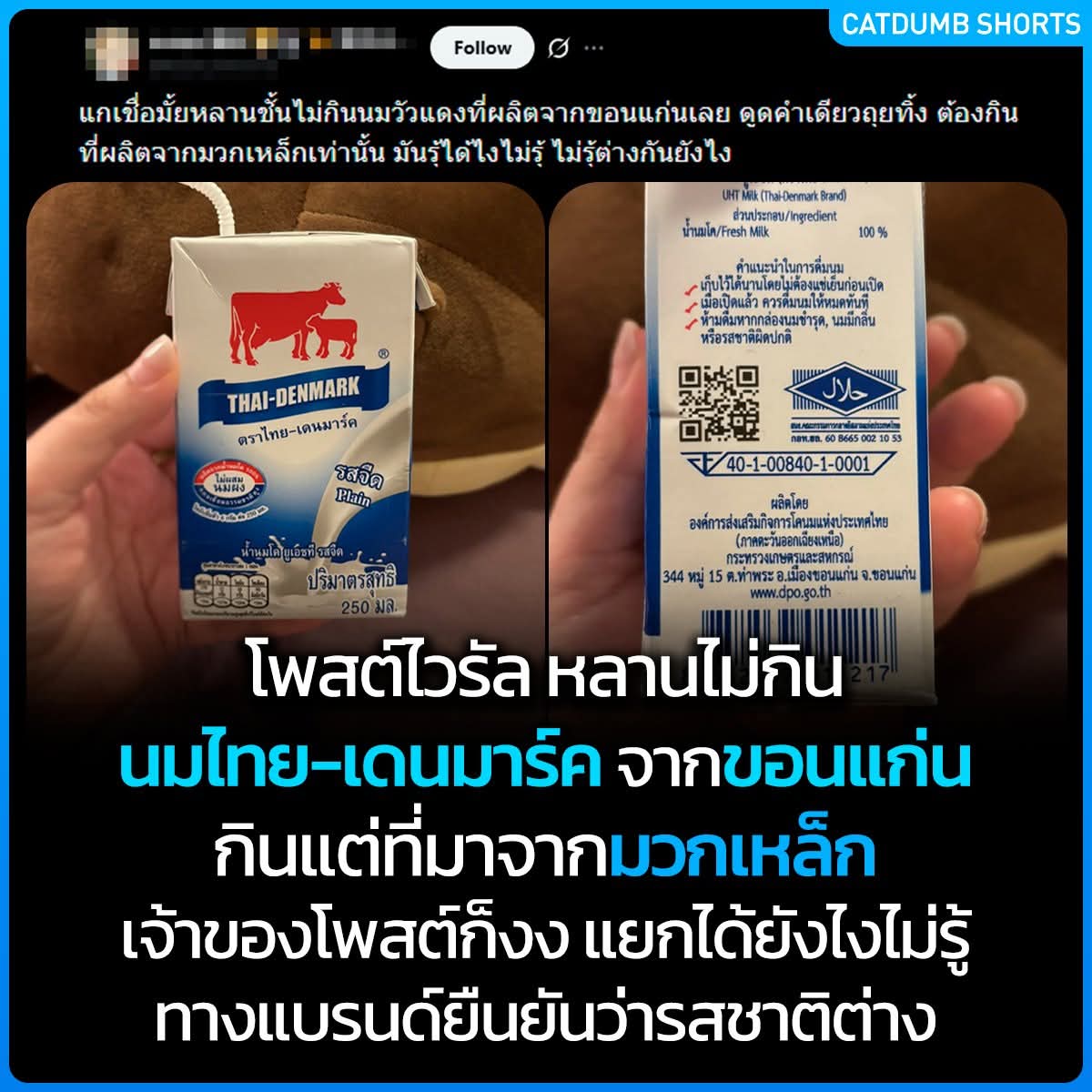 ฮ.นกฮูก(สีส้ม) tweet media