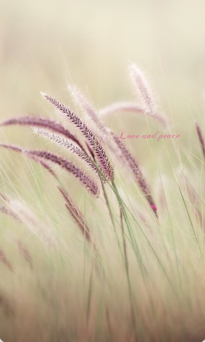 Nietzondermij's tweet image. 🐻💐🐻

I can do all things through Christ
which strengtheneth me
—🙏—

Just one small positive thought in the morning
can change your whole day
(DL)
#TrustGod