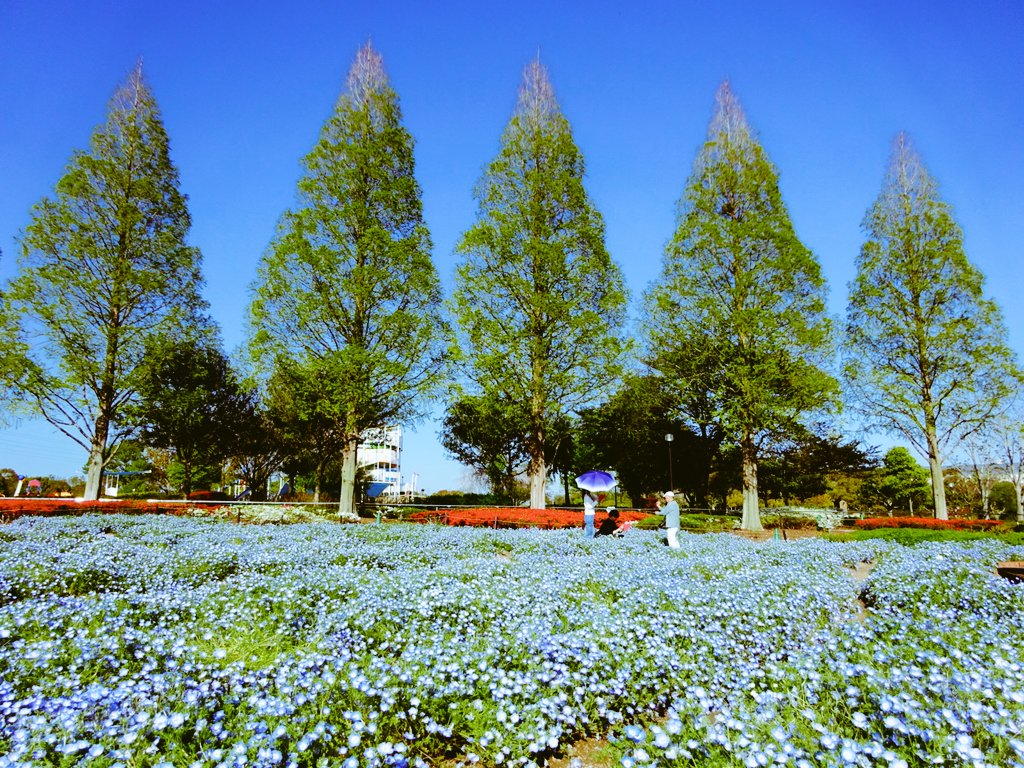 hiro3101 tweet media