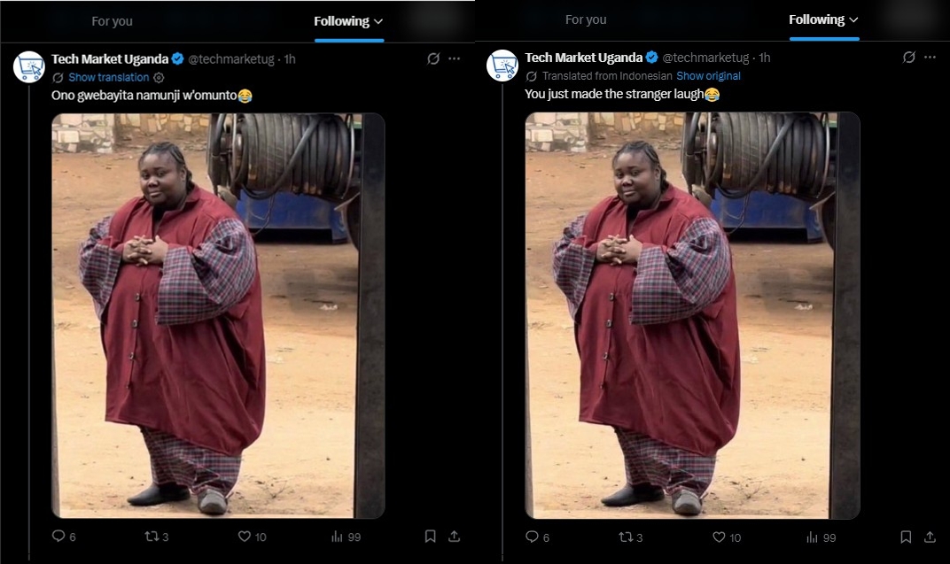 DEITY DOZEN ™ tweet media