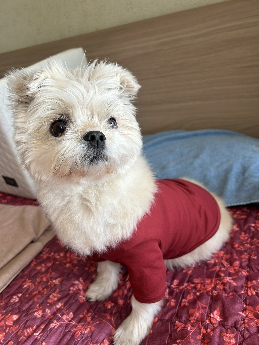 김몬드 tweet media