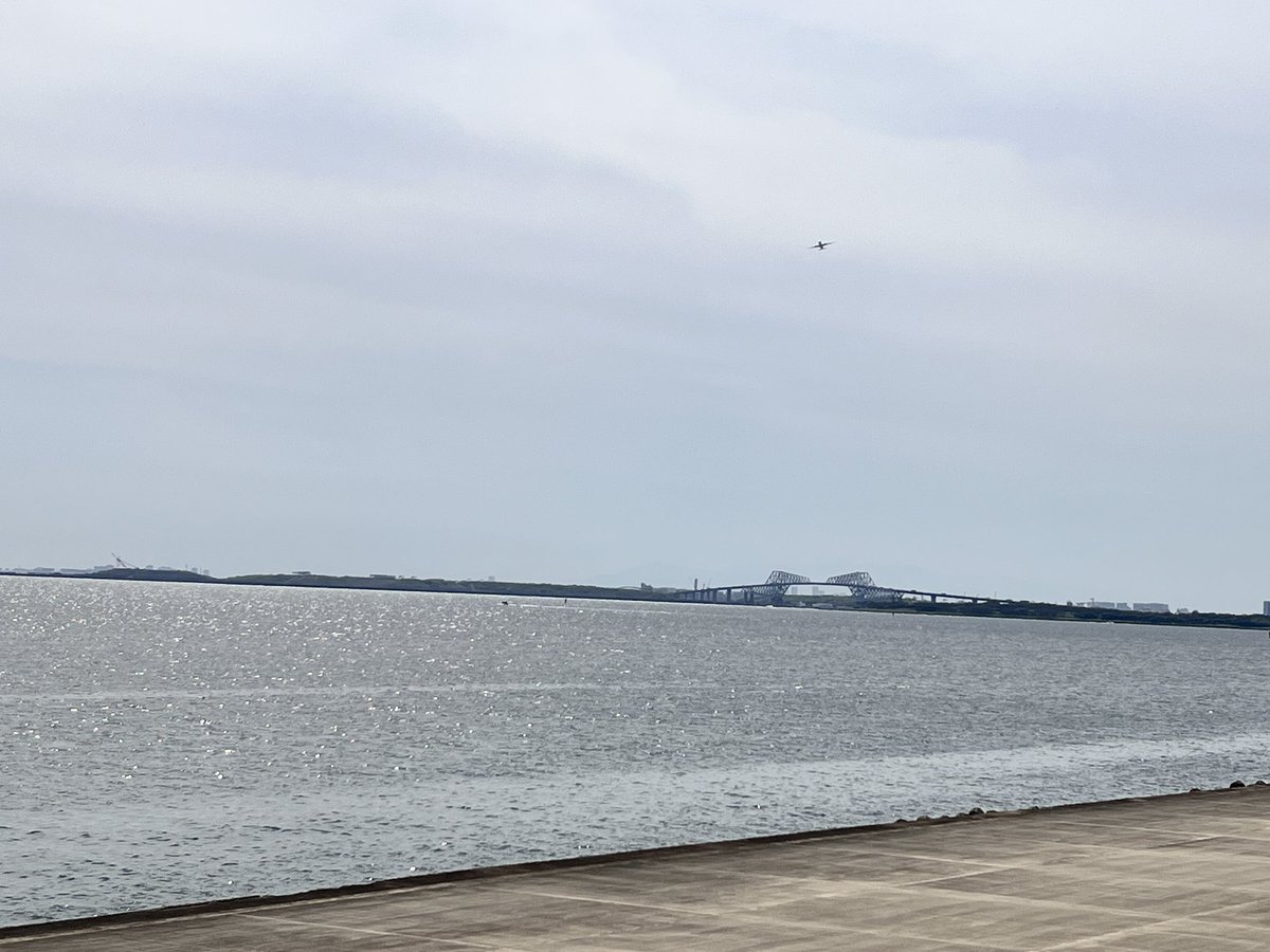 🌞テラメ🌞 tweet media